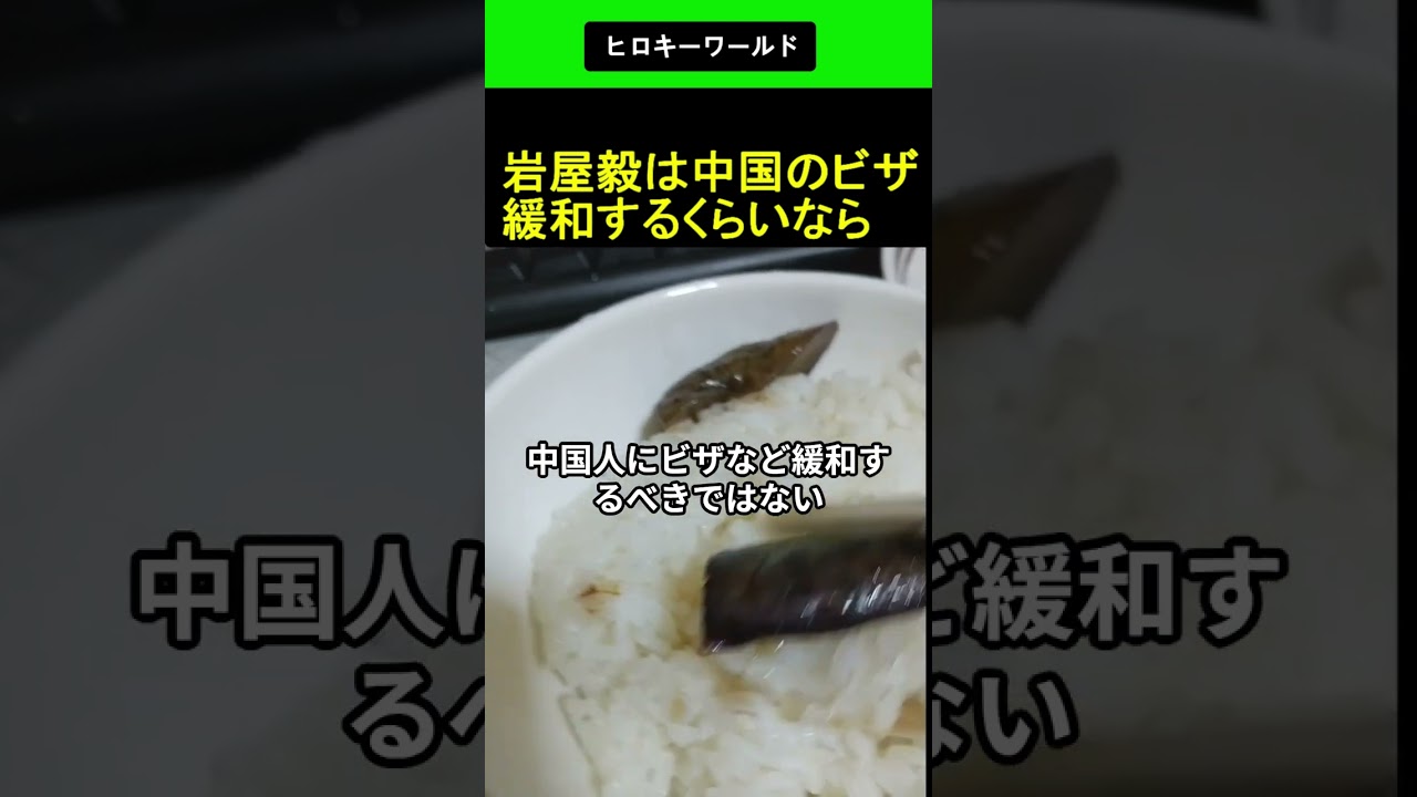 岩屋毅 は中国のビザ緩和するくらいなら 2026.04.01 ヒロキーワールド #shorts