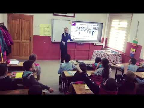 Erik dalı gevrektir bizim sinif