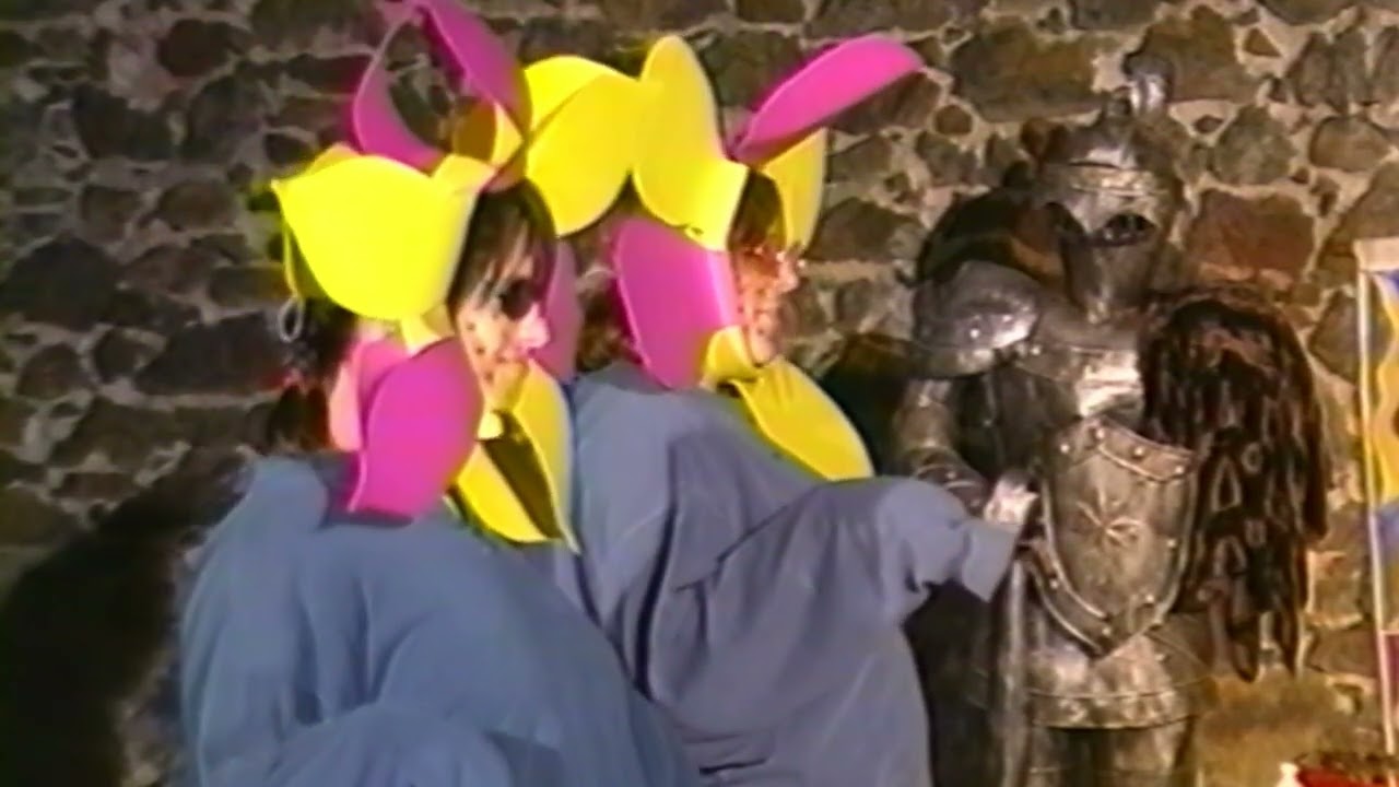 ``The Daisies``