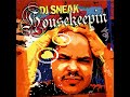DJ Sneak - Incredible (feat. Blakkat)