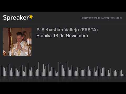 Homilia 18 de Noviembre