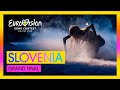 Raiven - Veronika (LIVE) | Slovenia 🇸🇮 | Grand Final | Eurovision 2024
