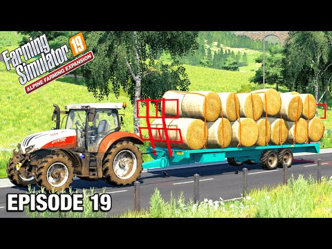 FULL LOAD ON THE NEW TRAILER Alpine DLC Timelapse - FS19 Ep 19