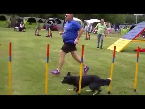 download lagu mp3 mp4 Agility Chien Liege, download lagu Agility Chien Liege gratis, unduh video klip Agility Chien Liege