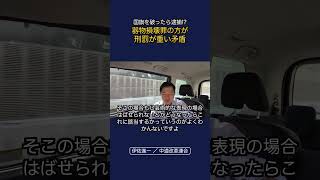 国旗を破ったら逮捕？器物損壊罪の方が刑罰が重い矛盾 #政治 #経済 #中道改革連合 #いさ進一