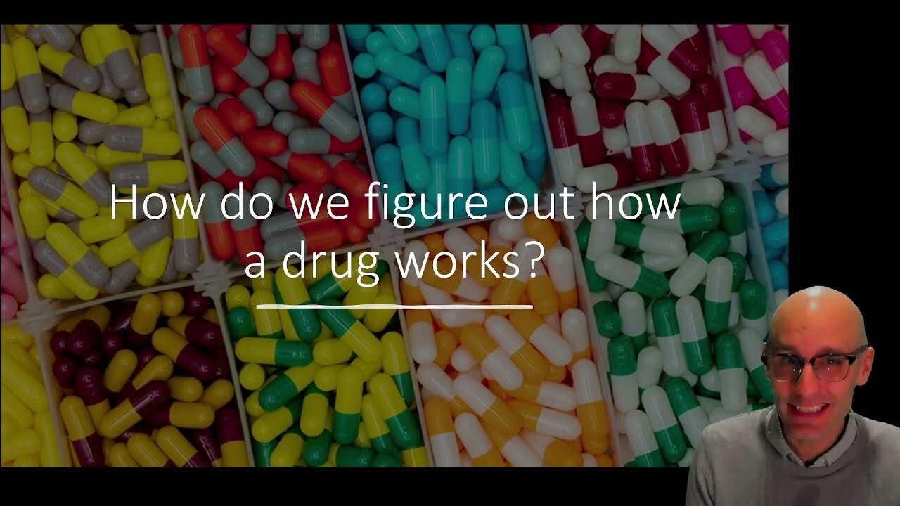 How can we use evolution to discover how antibiotics work?