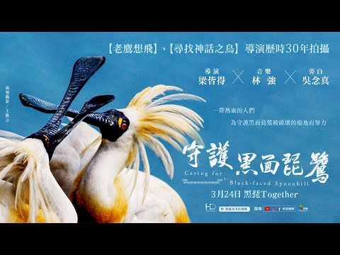 0324【守護黑面琵鷺】台灣官方正式預告︱台灣資深生態攝影大師梁皆得最新力作！知名導演吳念真深情旁白詮釋！