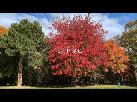北大秋景色【北海道大学公式PV】