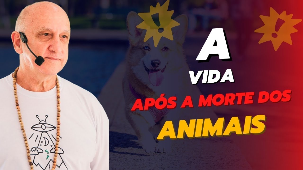 ONDE estariam nossos PETS que PARTIRAM, como é APÓS a MORTE para um ANINAL | Prof. Laércio Fonseca