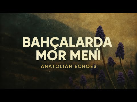 Bahçalarda Mor Meni (Ben Sana Yandım Gelin) – Psychedelic Anatolian Rock Echoes
