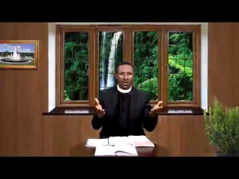 THE DAILY FOUNTAIN OF SEPTEMBER 28, 2017