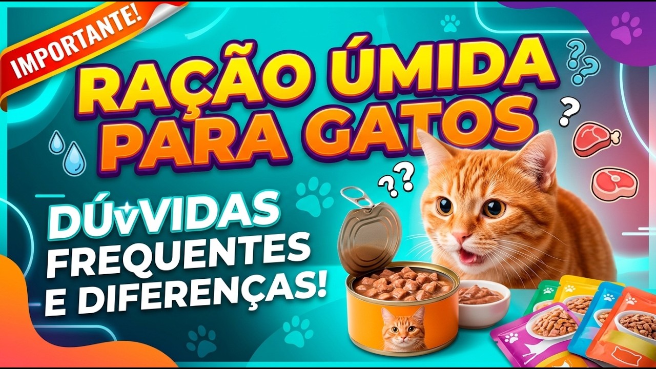 RAÇÃO ÚMIDA para gatos (sachê e patê): dúvidas e diferenças entre elas  - Gatil Hauser