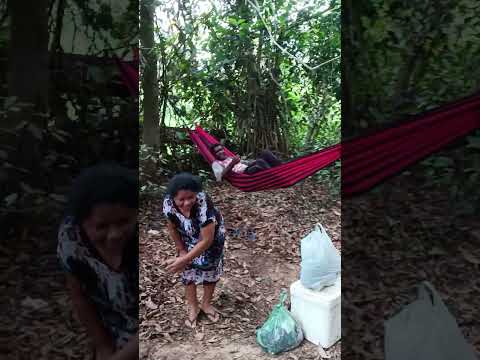 acampamento no 185 trans iriri Uruará para