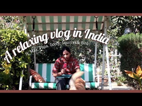 [vlog] a relaxing day in India :) ft. Goofy, Maa, Papa, squirrel and bird