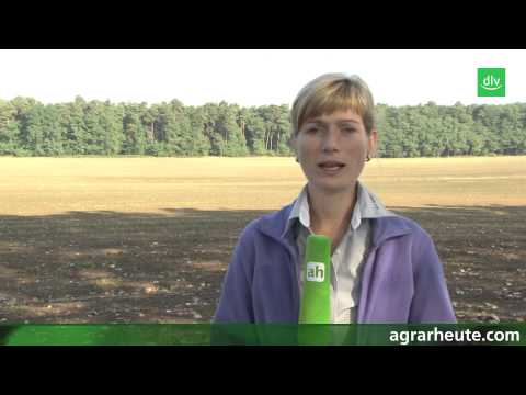 Vegetationsreport: Bodenherbizide im Getreide