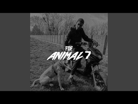 ANIMAL 7