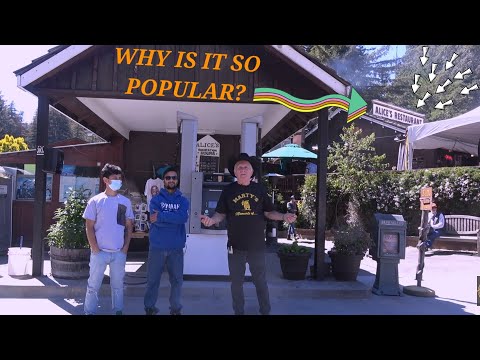 Alice's Restaurant| Why is Alice's so Popular? Must Visit Place in California