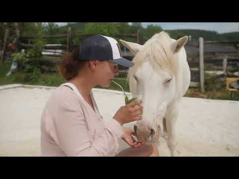 Náhled pro video reference