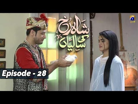 Shahrukh Ki Saaliyan - EP 28 || English Subtitles || - 8th Dec 2019 - HAR PAL GEO