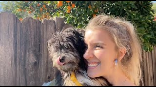 Dreams - Madison Malone (Music Video)