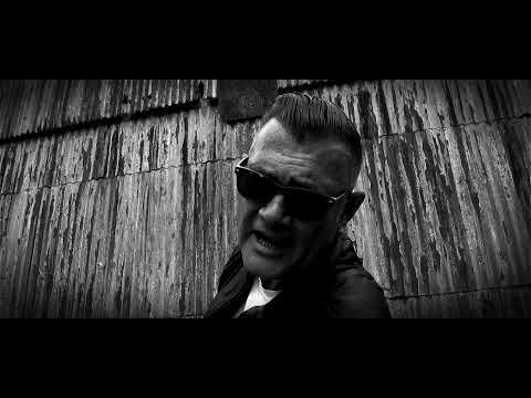 tHE dOGS Take me back to Rock and Roll