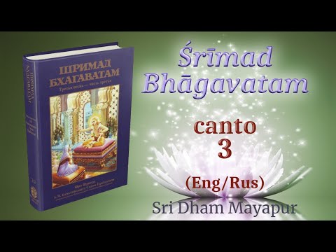 H.H. Jayadvaita Swami S.B. 3.28.24 (Eng/Rus) (4K)
