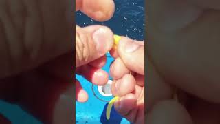 Download lagu G-Bomb💣Skirt HACK🔥 2 keep the tail securely in place 💪 #fishing #seriousangler #anglerapproved mp3