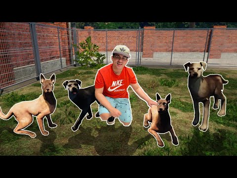 RESGATEI VÁRIOS CACHORROS DE RUA E ENCONTREI NOVAS CASAS PARA ELES!!! - Animal Shelter Simulator