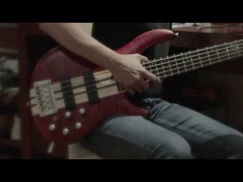 5-струнная бас-гитара CORT A5 Plus FMMH (Open Pore Black Cherry) - фото 2 - id-p1321387370