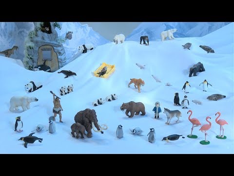 アニアクイズ　ゆき