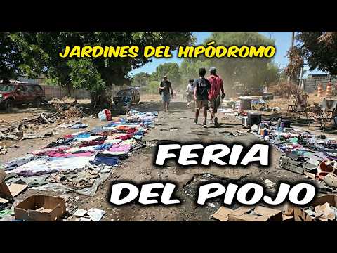 🇺🇾 Caminando la FERIA DEL PIOJO hasta el Estadio de Danubio | Montevideo