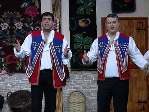 ZARE I GOCI - JA POPIO JESAM AL NISAM BUDALA