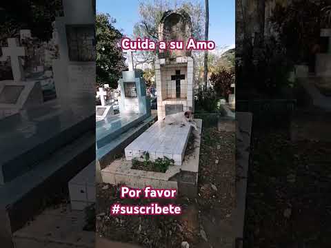 perrito abandonado en el CEMENTERIO de Santa Ana #perro #perros #mascotas #dog
