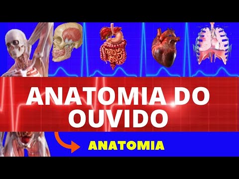 ANATOMIA DO OUVIDO HUMANO (ANATOMIA HUMANA) - ENSINO SUPERIOR - ANATOMIA DA AUDIÇÃO / ORELHA