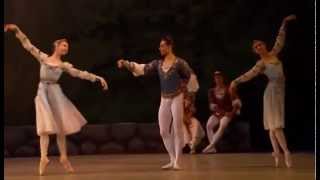 Swan Lake - Pas de trois