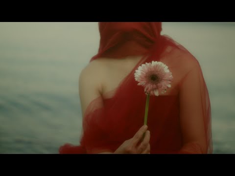 The Pomegranate Theory - Fundraising Campaign