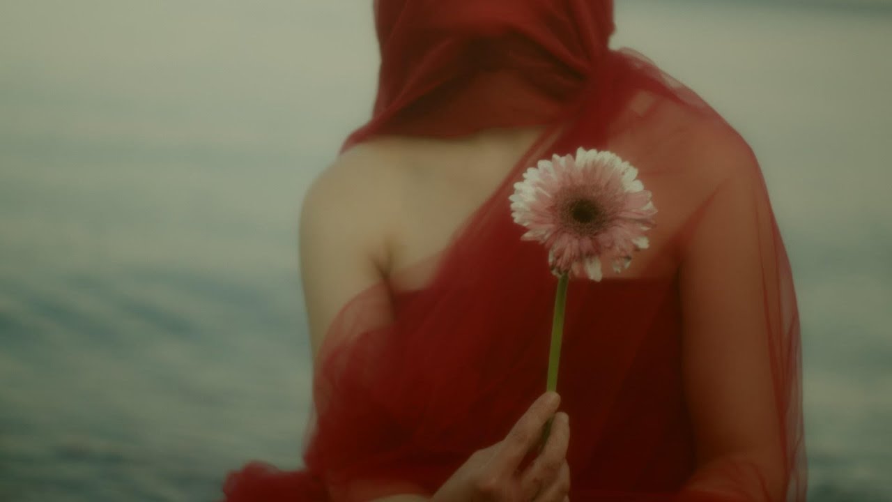 The Pomegranate Theory - Fundraising Campaign