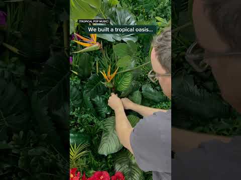 Uma espiada por trás da cortina. 👀 🤍 O NOVO Cold Brew com Creme de Macadâmia com Chocolate Branco. (EUA e Canadá)