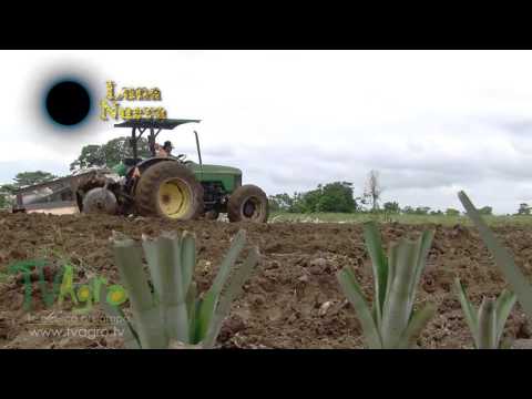 How the Moon Affects Crop Quality - New Moon Phase - TvAgro by Juan Gonzalo Angel