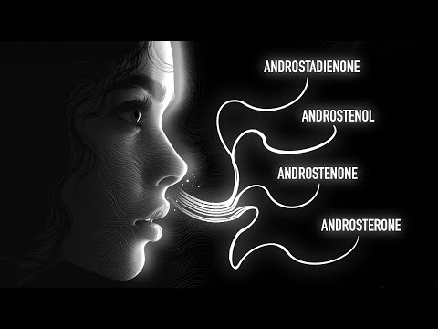 Die Wissenschaft der Pheromone: Wie Männer ihre natürlichen Anziehungskräfte steigern können.