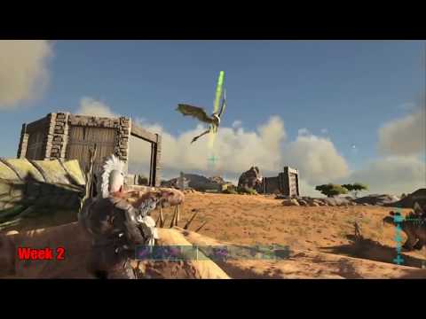 Dominating Arks Small Tribe Servers (Day 1 - Week 7)