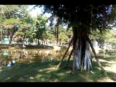 download lagu mp3 mp4 Cost Of Living Siem Reap, download lagu Cost Of Living Siem Reap gratis, unduh video klip Cost Of Living Siem Reap