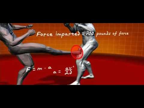 Master Moves of Savate French Kick Boxing   Human Weapon
