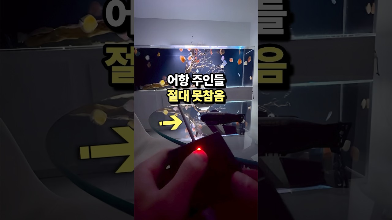 어항용 RC 잠수함, 물생활에 더하는 재미