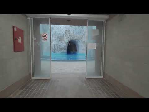 Videó előnézet