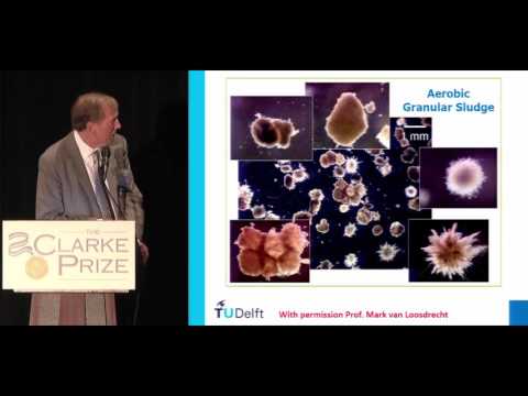 Granular Activated Sludge:  The Future of Biological Nutrient Removal