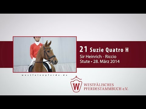 21 Suzie Quatro H Stute v. Sir Heinrich - Riccio