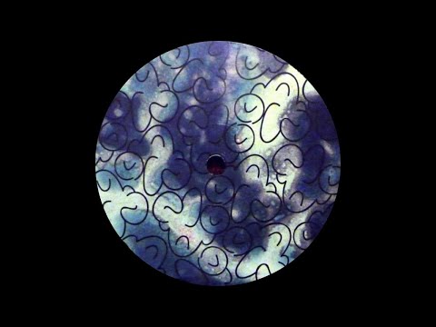 Teluric - În Pădurea Fermecată [CAKEMAN001]