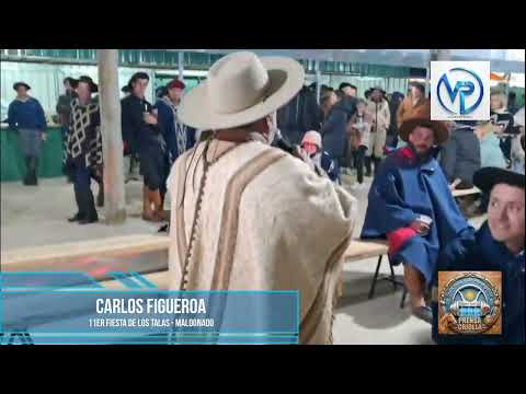 Carlos Figueroa en la 11er Fiesta de Los Talas - Maldonado