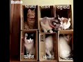 Maharashtra Rajkaran